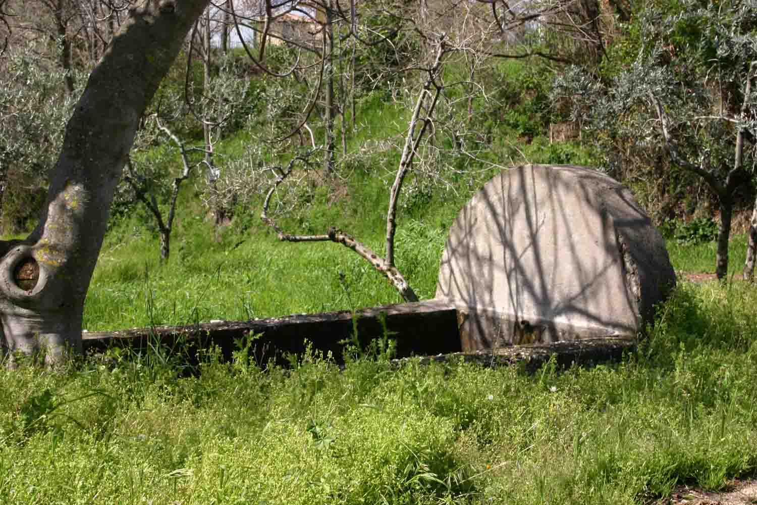 Fontanili del Lazio